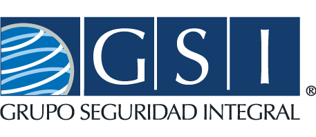 GSI Logo